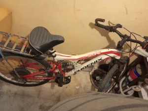 بسكلت مقاس 24