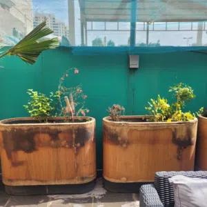 للبيع احواض زرع من خشب