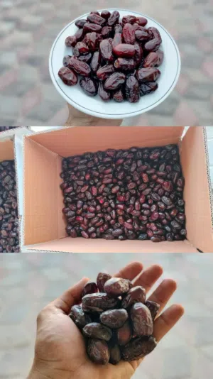 تمر فرض وخلاص جودة ممتازة