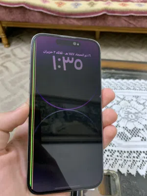 iPhone 14 Pro Max