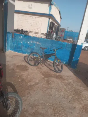 زوز بيشكليطة للبيع واحده 16 وحده 20