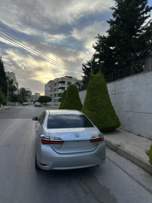 تويوتا كرولا 2019