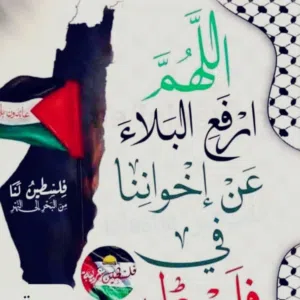 محمد 