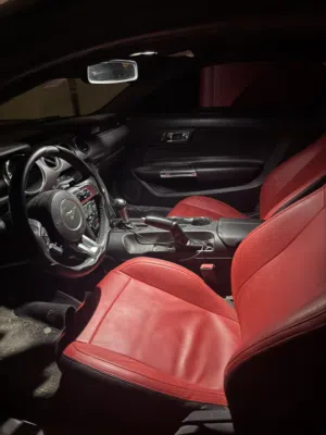 موستنج بحالة جيدة