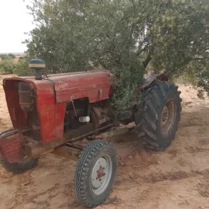 إيبرو 3بسطوني