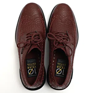 Cole haan 10YR adversary edition