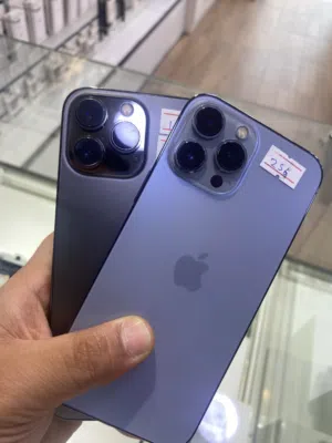 13 pro max