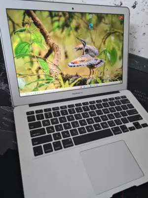 Windows Apple for sale in Tulkarm