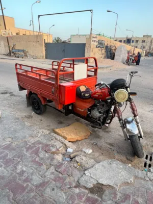 ستوته ليڤان