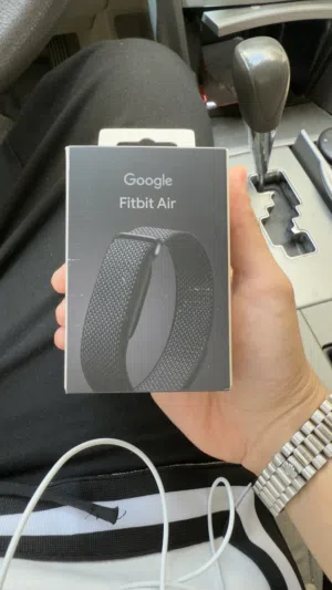 Google Fitbit air