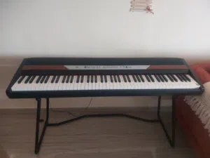 Korg SP-250 Soft Keys Keyboard (Brand: KORG, Model: SP-250)