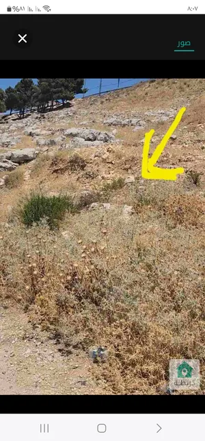 قطعه ارض مطله للبيع في السلط نقب الدبور سكن ج قوشان مستقل