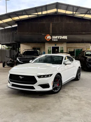 Ford Mustang ecoboost  2025 عداد 0