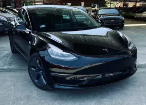 Tesla Model Standard Plus 2019