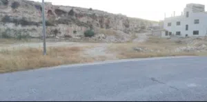 Residential Land for Sale in Amman Shafa Badran