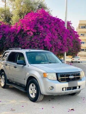 Used Ford Escape in Irbid
