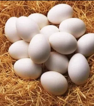 السلام عليكم متاح بيض دجاج كوشن ليموني