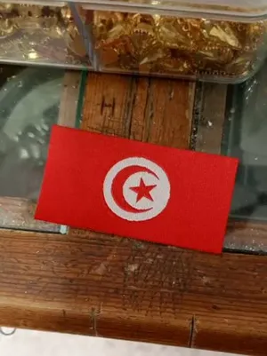 علمات تونس