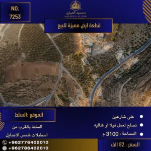إعلان رقم (7253) فرصة استثمارية مميزة في السلط – أرض الأحلام بانتظارك!