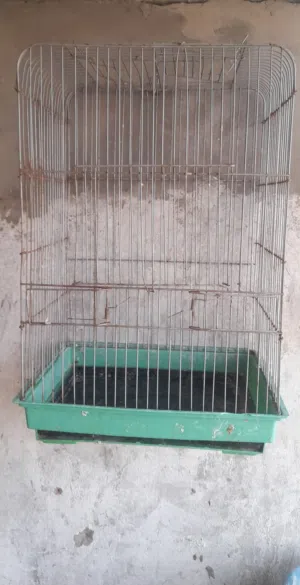 قفص ببغاء بحالة جيدة
