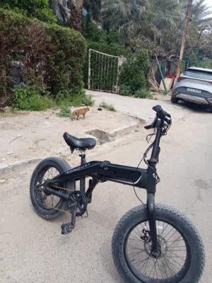 بايسكل شحن أمريكي   ساندرون مع سوكترات عدد2
