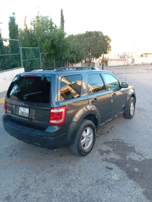 Used Ford Escape in Amman
