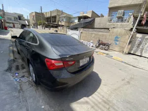 ماليبو فول
