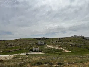 Residential Land for Sale in Amman Zinat Al-Rubue