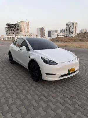 Tesla Model Y 2024 Long Range