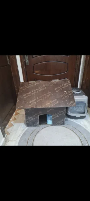 بيت للقطط 13 دينار