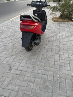 فراشة فحل نظافة 80٪ 2000
