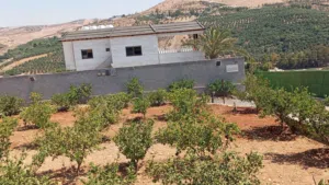 2 Bedrooms Chalet for Rent in Zarqa Sarout