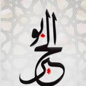 حامدابوالخير 