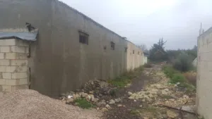 Commercial . Syria . Landlord4