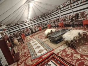 نذير علي 