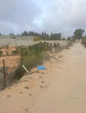 ارض للبيع كزيوني