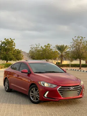 Used Hyundai Elantra in Al Batinah