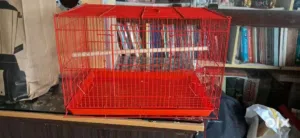 للبيع قفص طيور