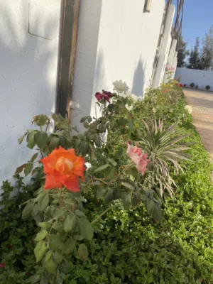 Residential Land for Sale in Benghazi An Nawwaqiyah