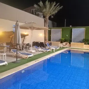نصير نصير
