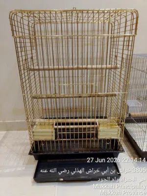 CAGE BIRD good condition