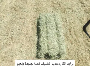 تتوفر لدينا برايد انتاج جديد ونعيم