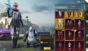 Pubg Accounts and Characters for Sale in Jenin