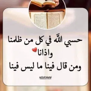 محمد الحواتمة المصرى