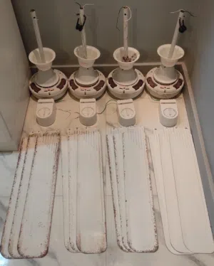 4 مروحة سقف نوتيكال (Nautical) بالمفاتيح