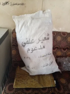 اشولات فارغه للبيع الوزن 50 كيلو كميه غير محدوده