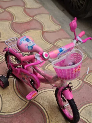 Vélo fillette 12