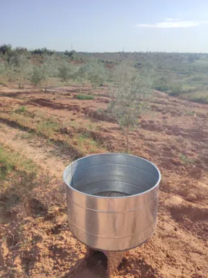 سقايات سعي