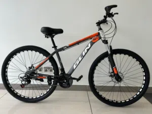 Glin bicycle brand new 29 size 52 bd