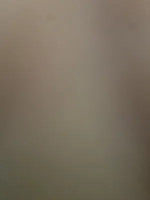 مطلوب كلاب للتبني